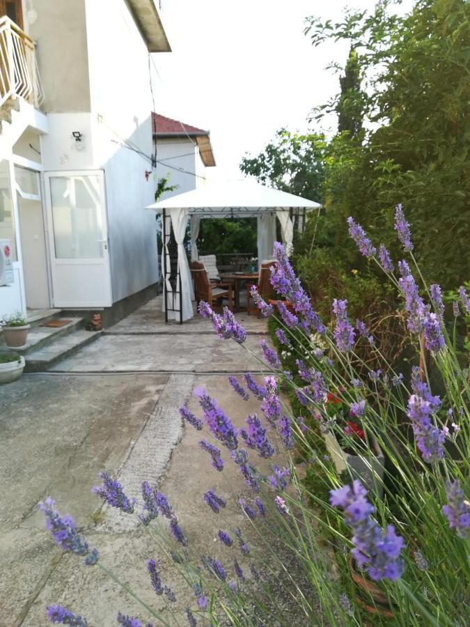 Lili Apartment In Zadar Pet Friendly, Free Parking Exterior foto